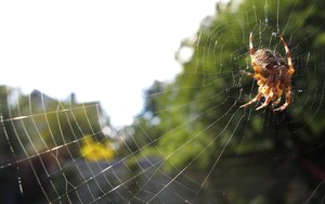 数据同步去重深度科普：重复数据过滤的原理